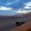 NAM HAR Dune45 2016NOV21 008 : 2016, 2016 - African Adventures, Africa, Namibia, November, Southern, Hardap, Dune 45